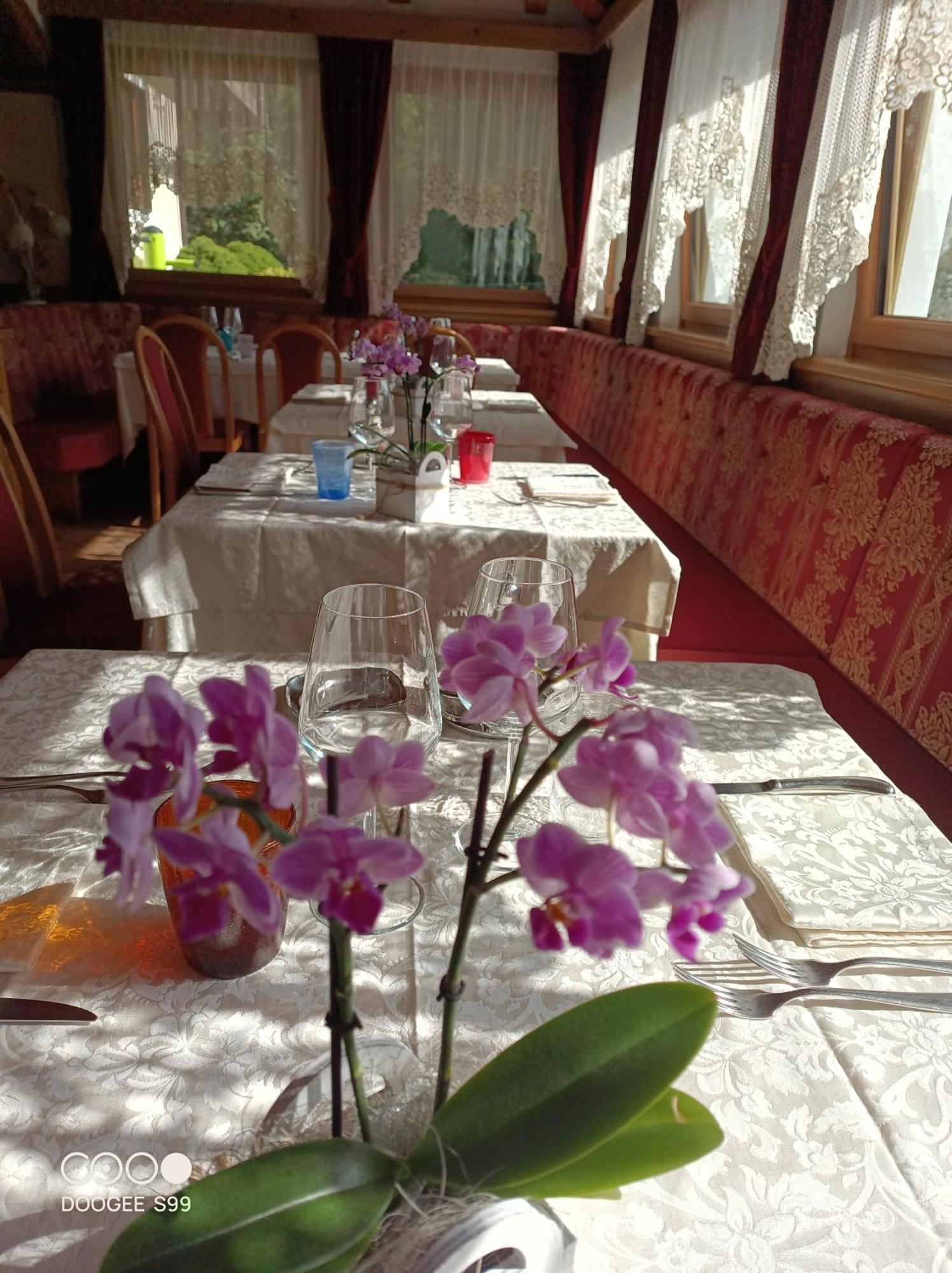 Park Hotel Arnica Фалькаде Экстерьер фото